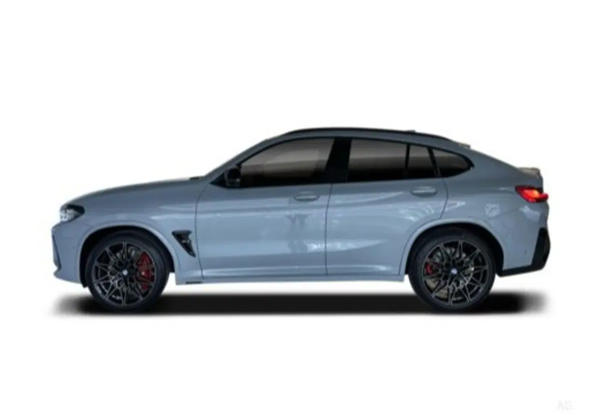 BMW X4 usata a Caserta (13)