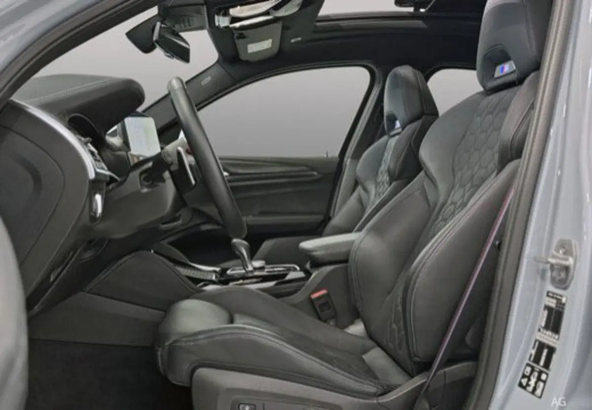 BMW X4 usata a Caserta (18)