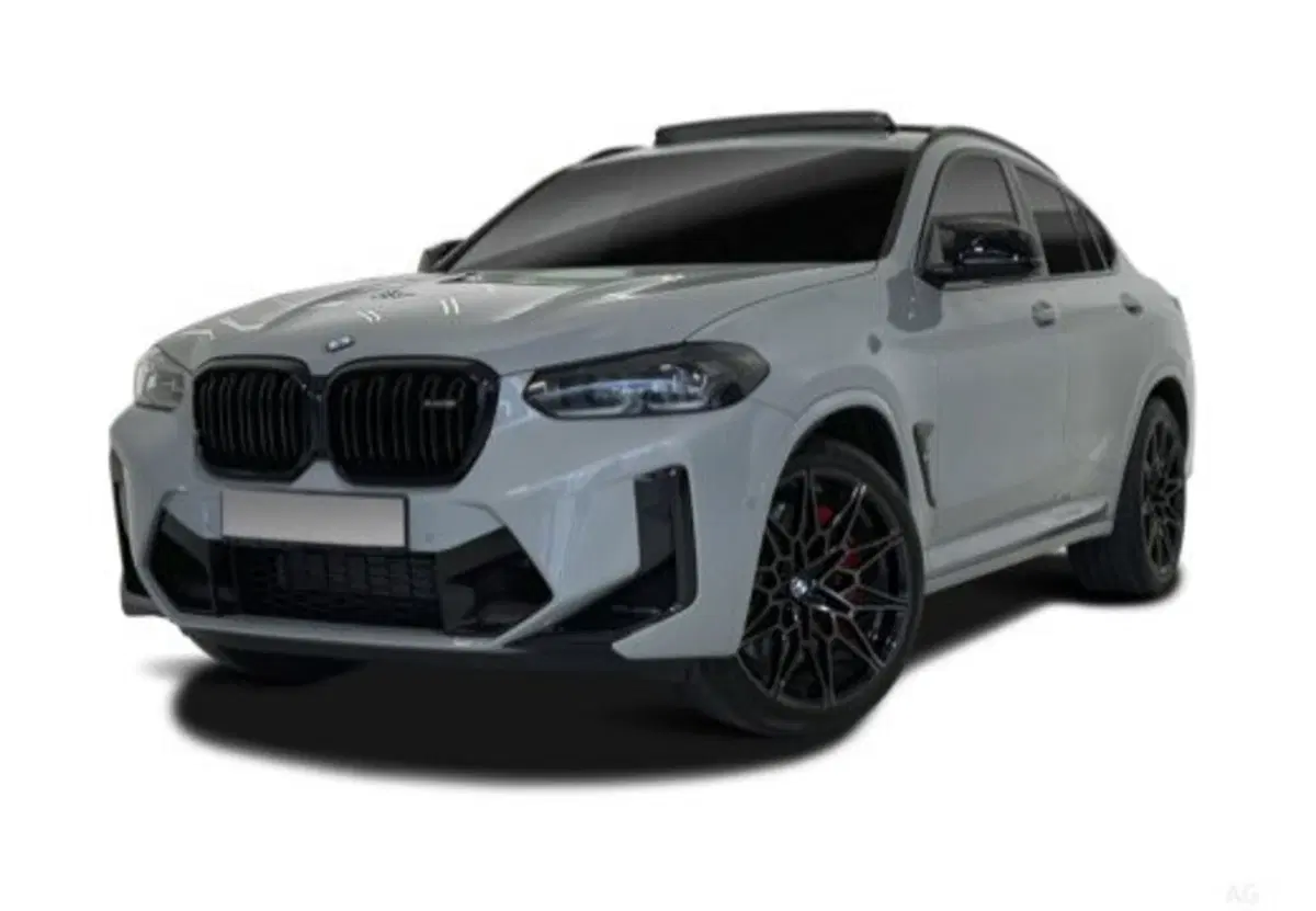 BMW X4 usata a Caserta (5)