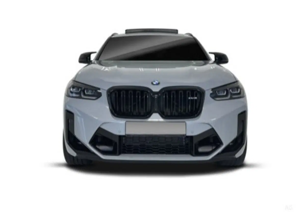 BMW X4 usata a Caserta (9)