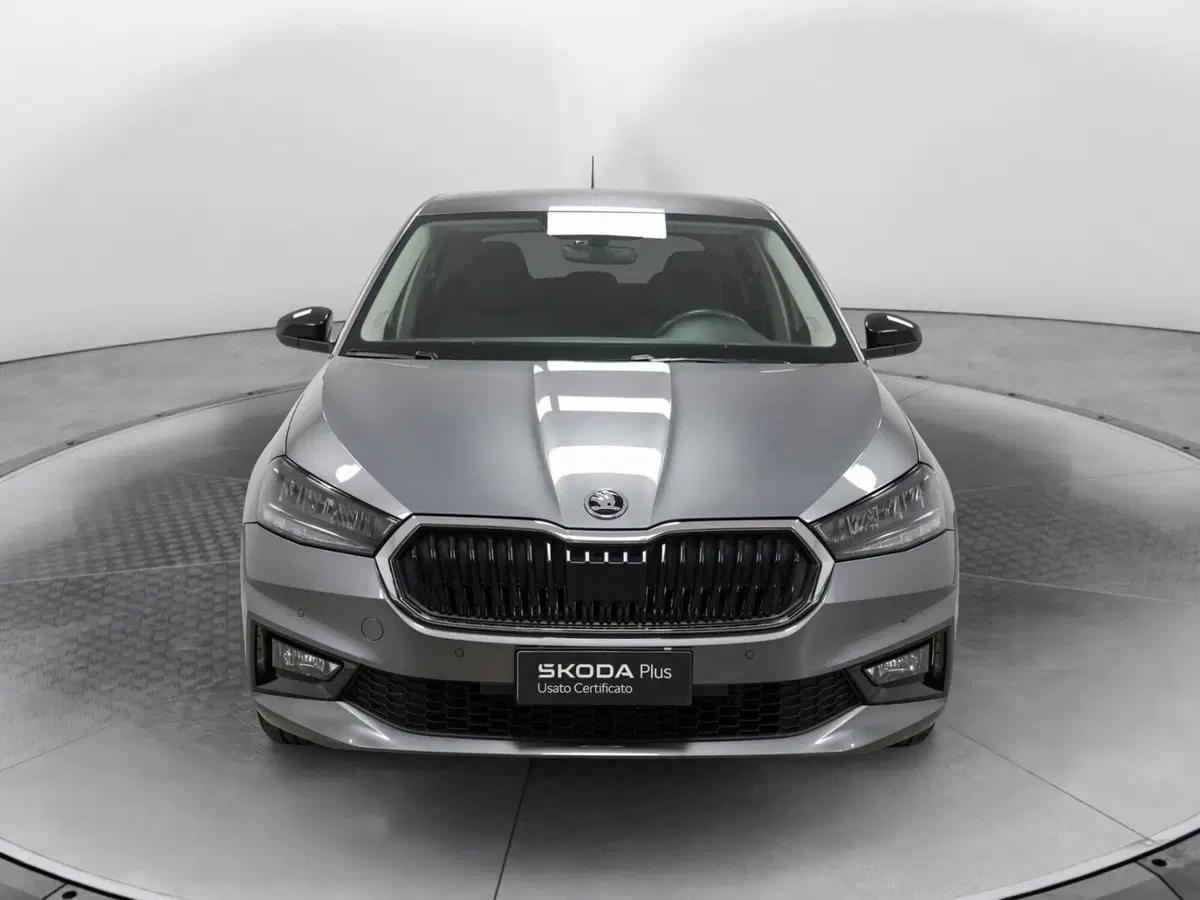 Skoda Fabia usata a Varese (2)