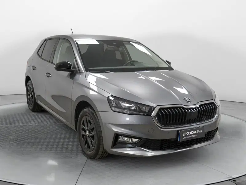 Skoda Fabia usata a Varese (3)