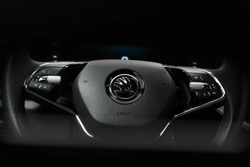 Skoda Fabia usata a Varese (17)