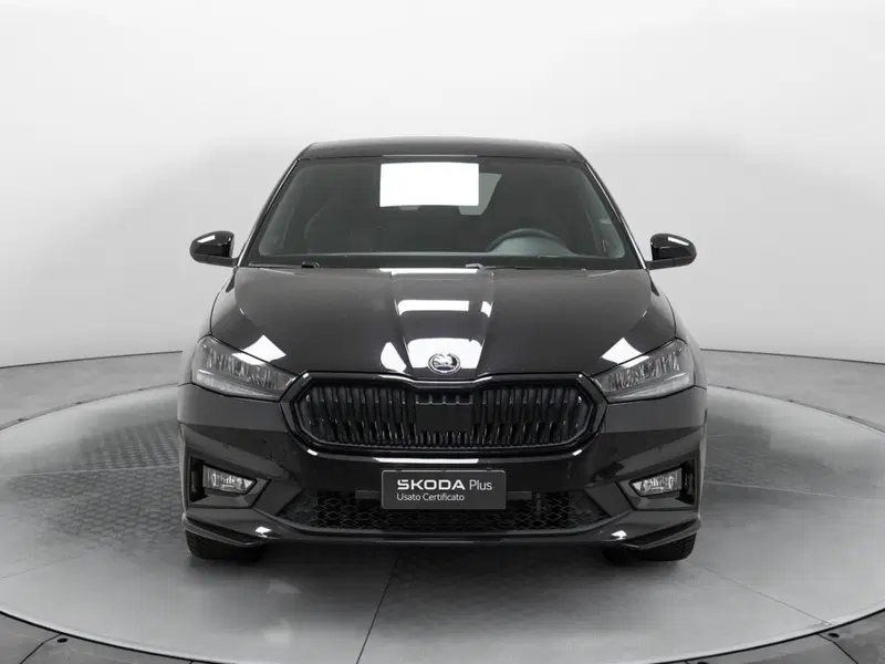 Skoda Fabia usata a Varese (2)
