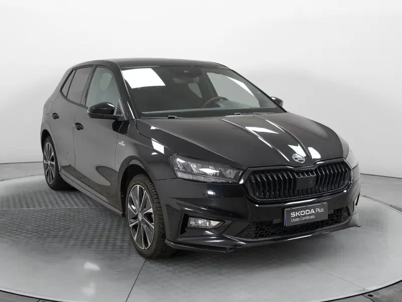 Skoda Fabia usata a Varese (3)