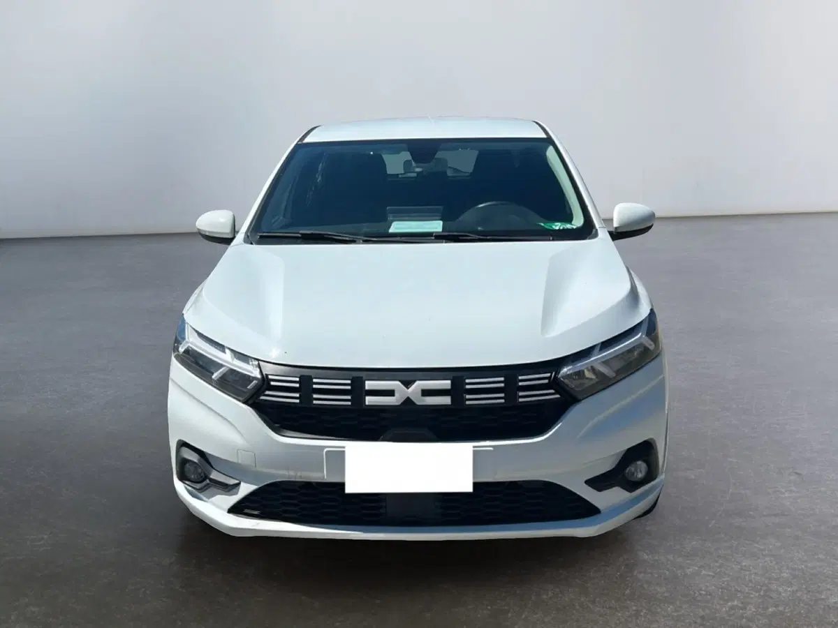 Dacia Sandero Streetway usata a Roma (7)