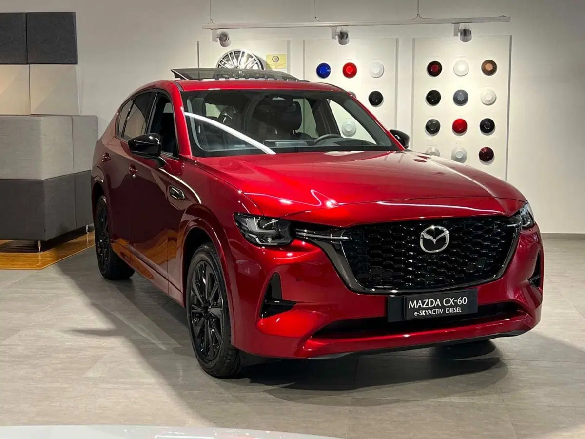 Mazda CX-60 nuova a Frosinone (17)