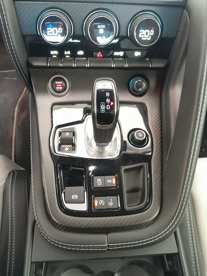 Jaguar F-Type Coupé usata a Cuneo (15)