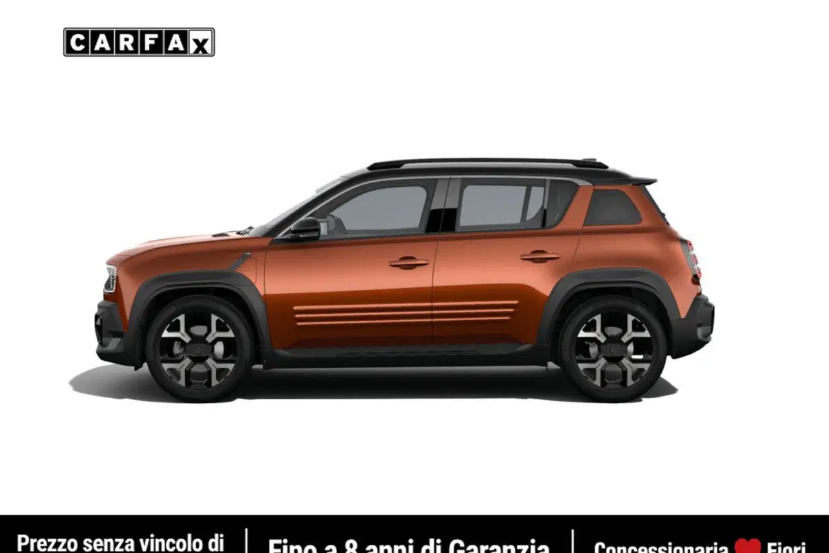 Renault Renault 4 usata a Latina (3)