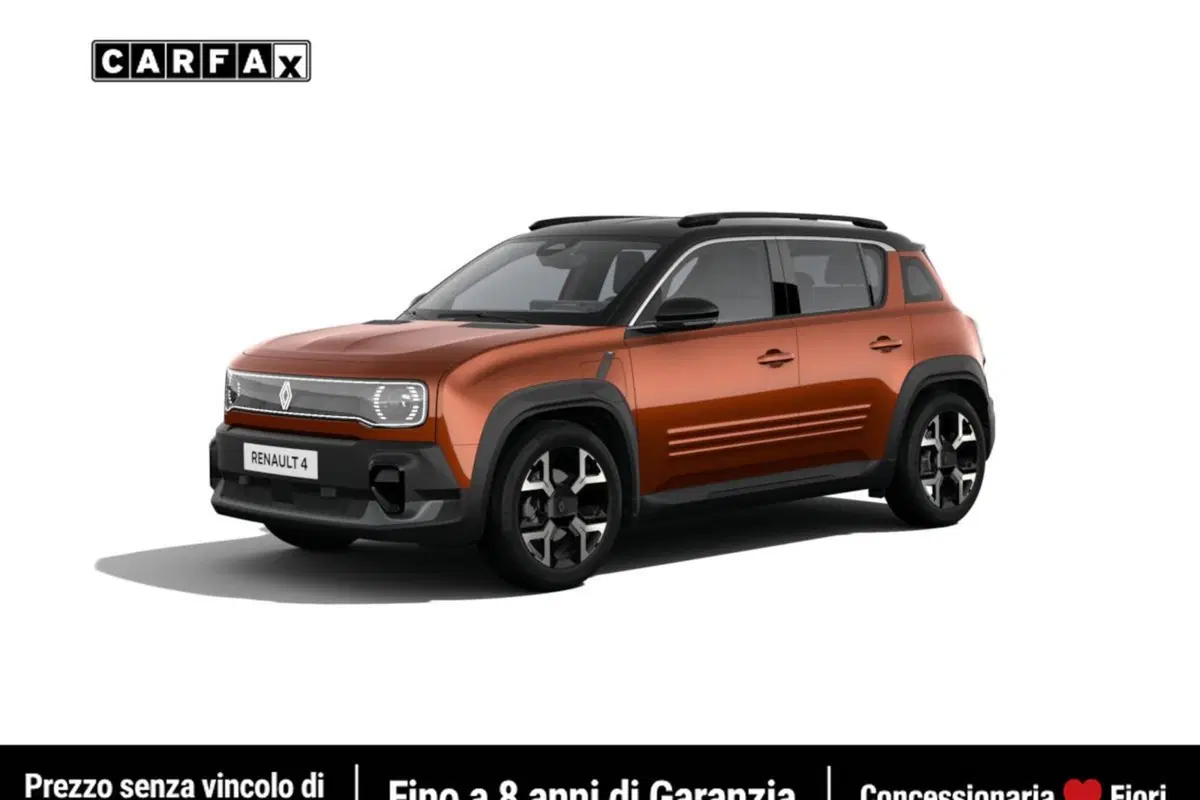 Renault Renault 4 usata a Latina (4)