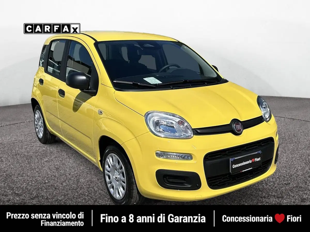Fiat Pandina nuova a Roma (2)