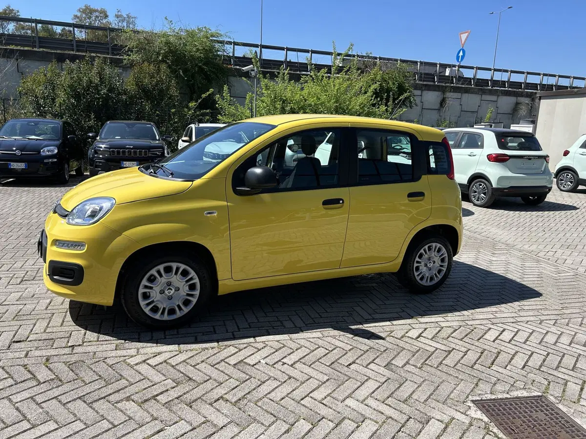 Fiat Pandina nuova a Roma (8)