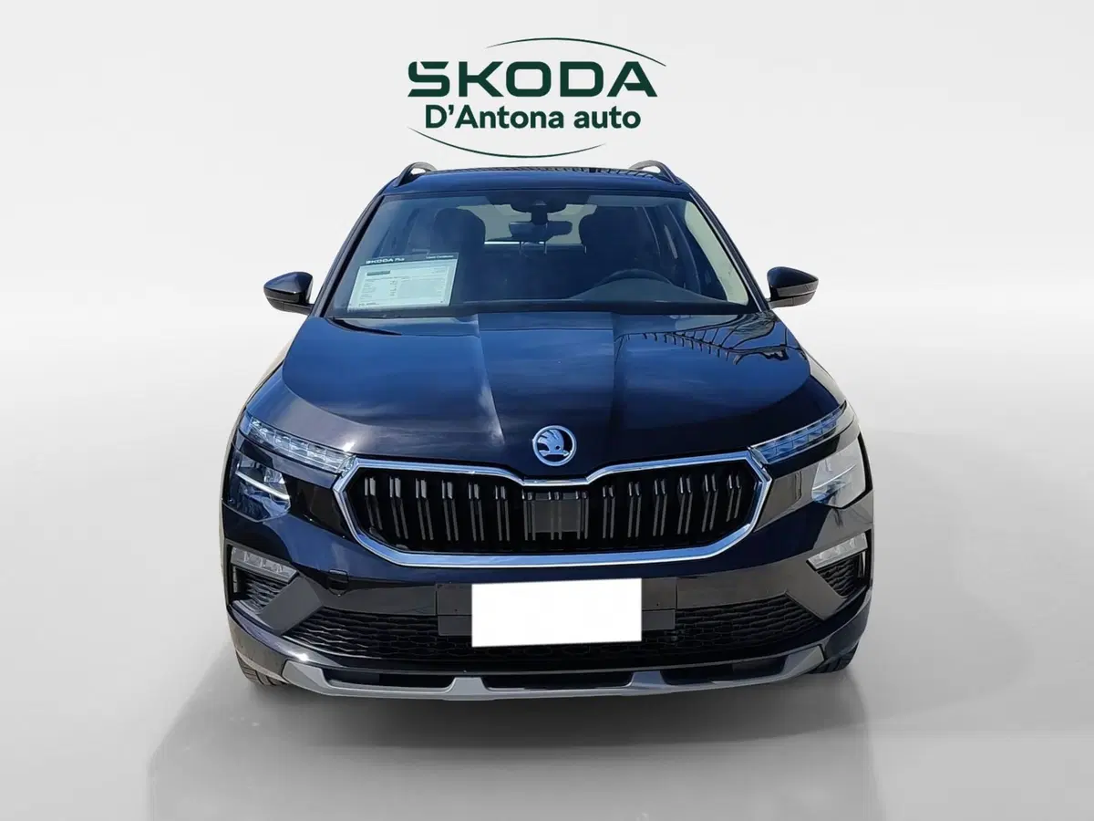 Skoda Kamiq usata a Taranto (2)