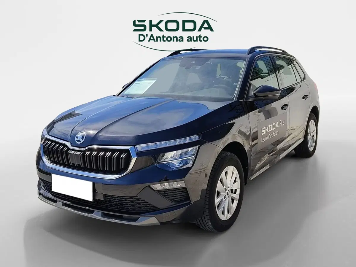 Skoda Kamiq usata a Taranto (5)