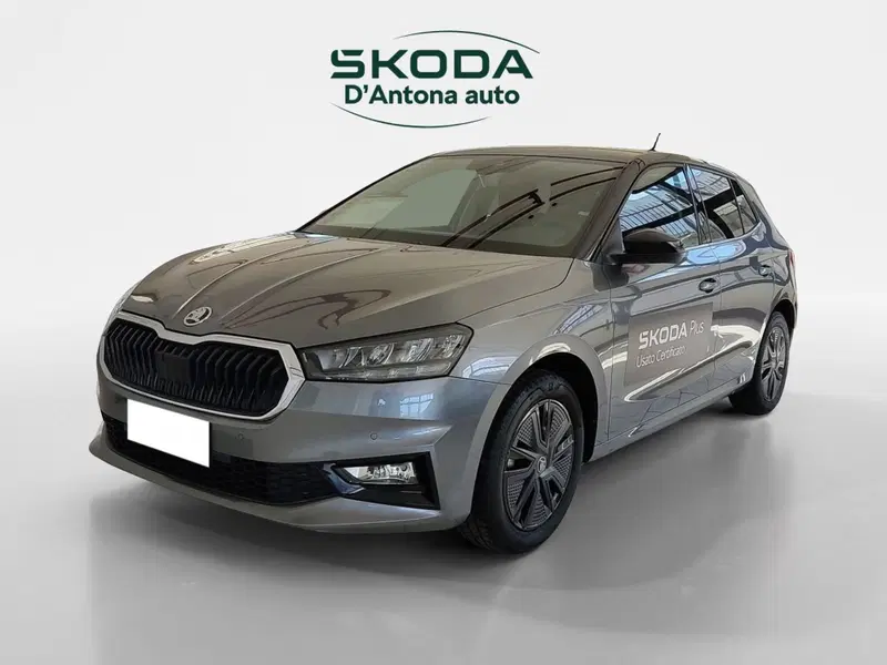 Skoda Fabia usata a Taranto (5)