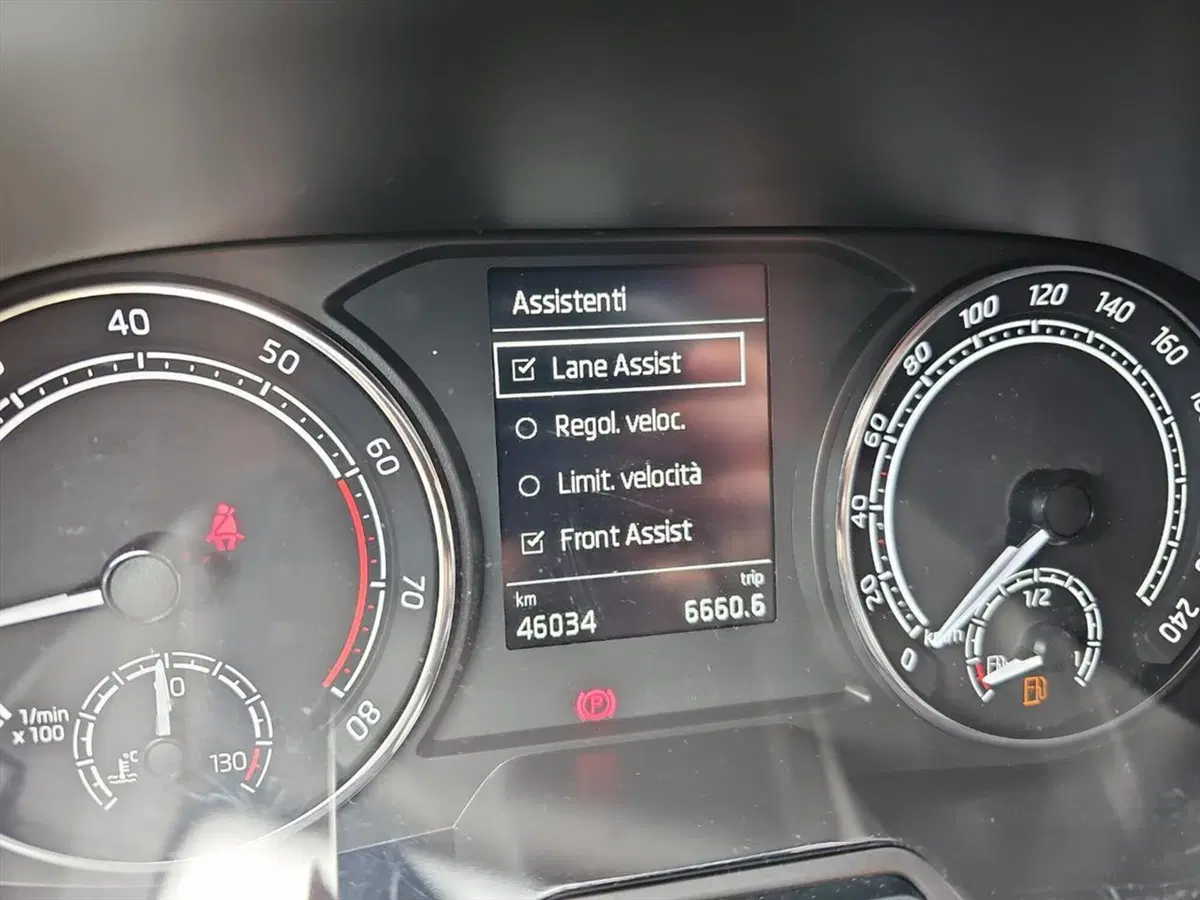 Skoda Fabia usata a Lecco (15)