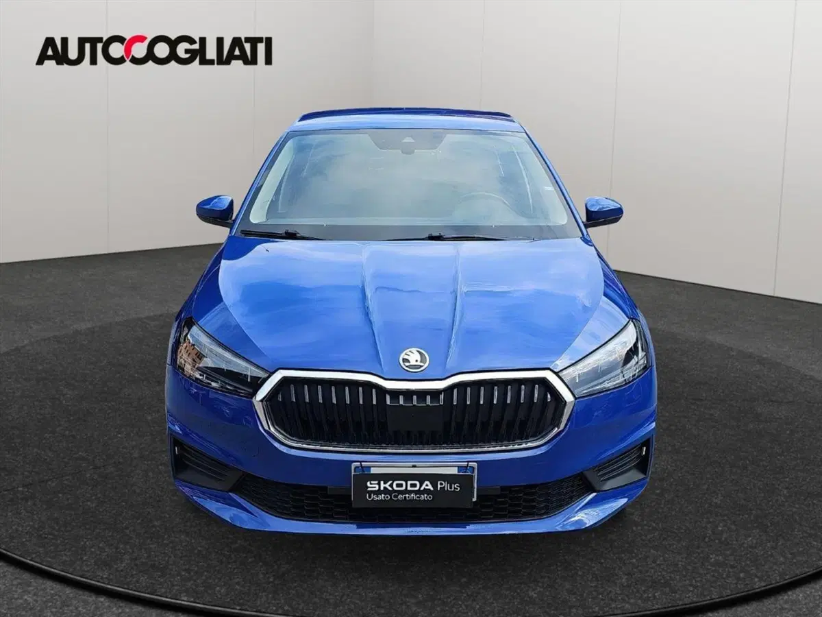 Skoda Fabia usata a Lecco (2)
