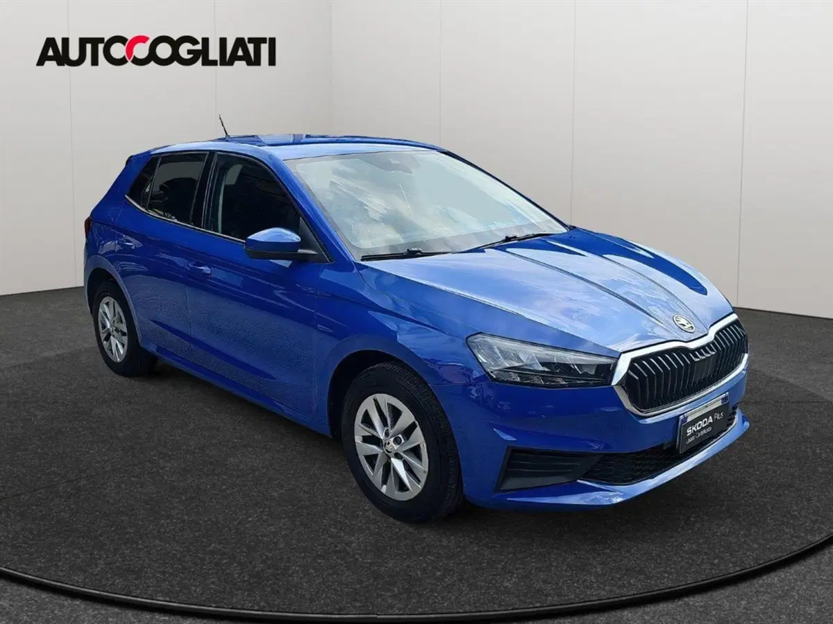 Skoda Fabia usata a Lecco (3)