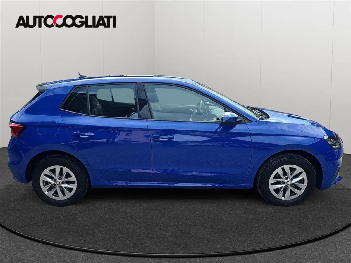 Skoda Fabia usata a Lecco (4)