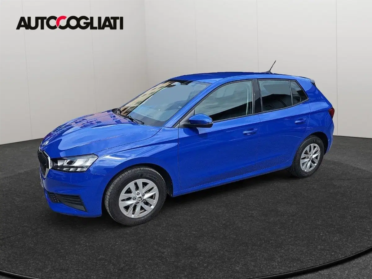 Skoda Fabia usata a Lecco (5)