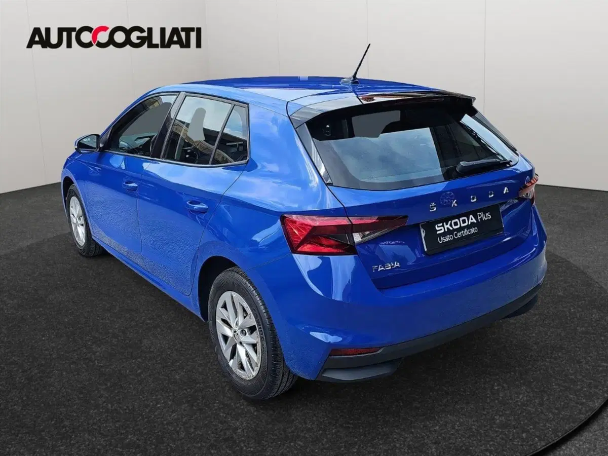 Skoda Fabia usata a Lecco (6)