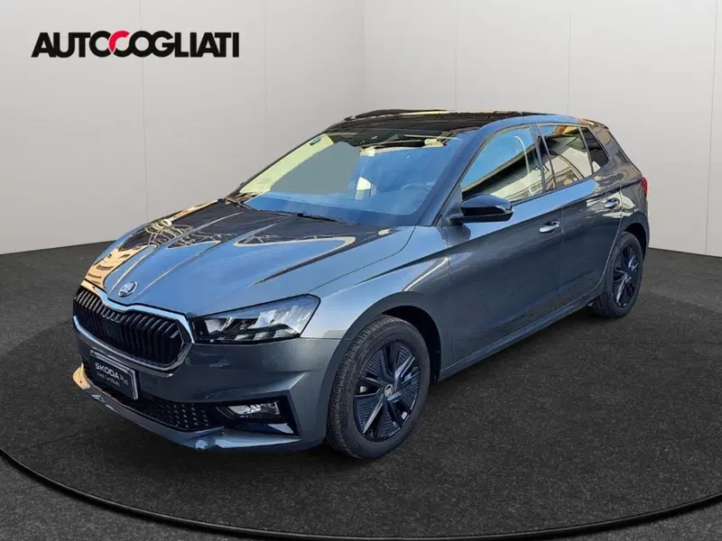 Skoda Fabia usata a Lecco