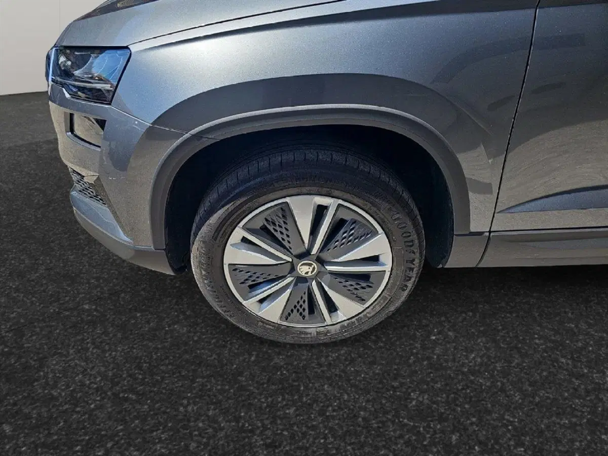 Skoda Karoq usata a Lecco (16)