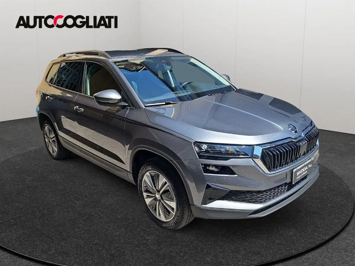 Skoda Karoq usata a Lecco (3)