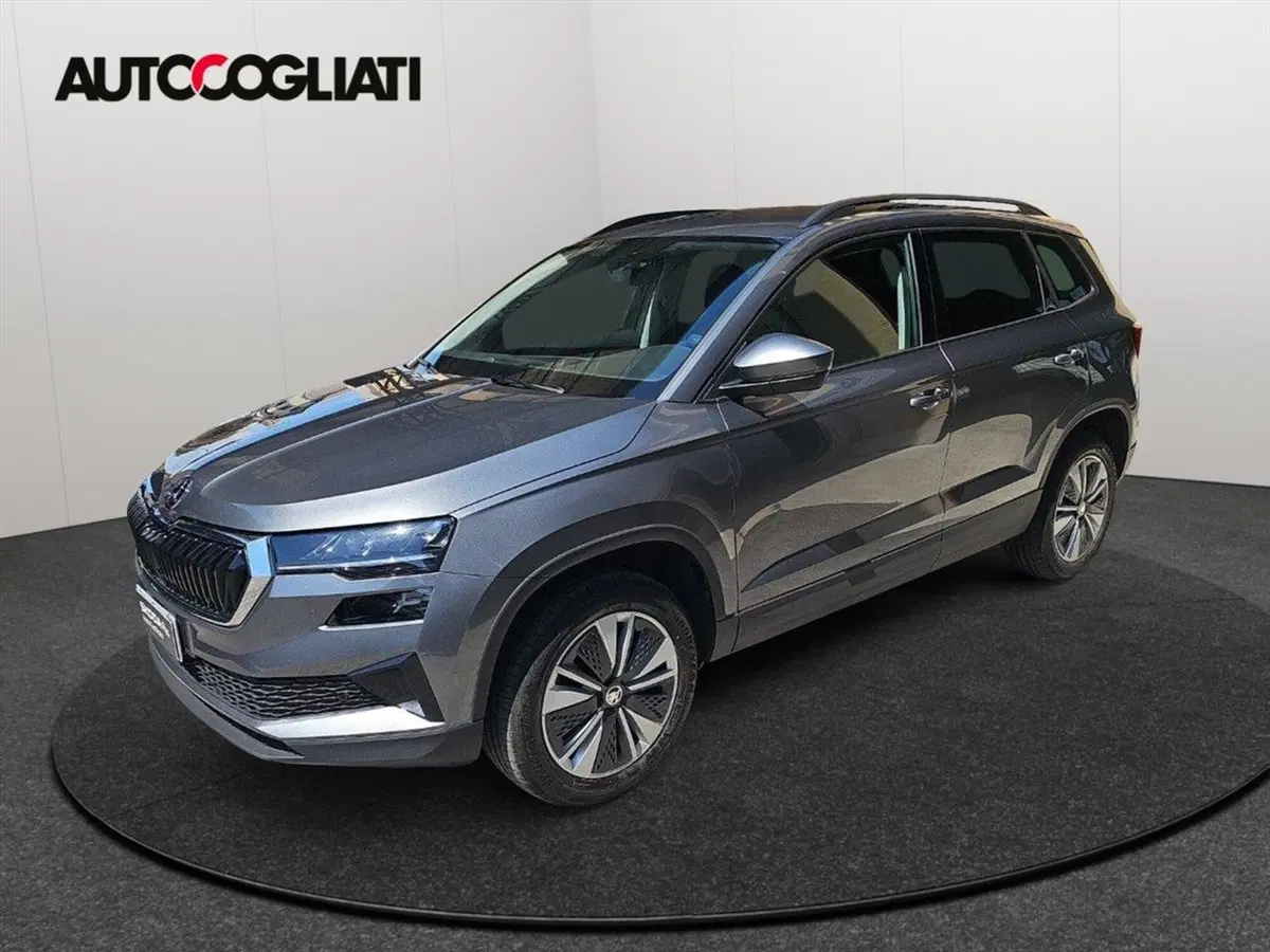Skoda Karoq usata a Lecco (4)