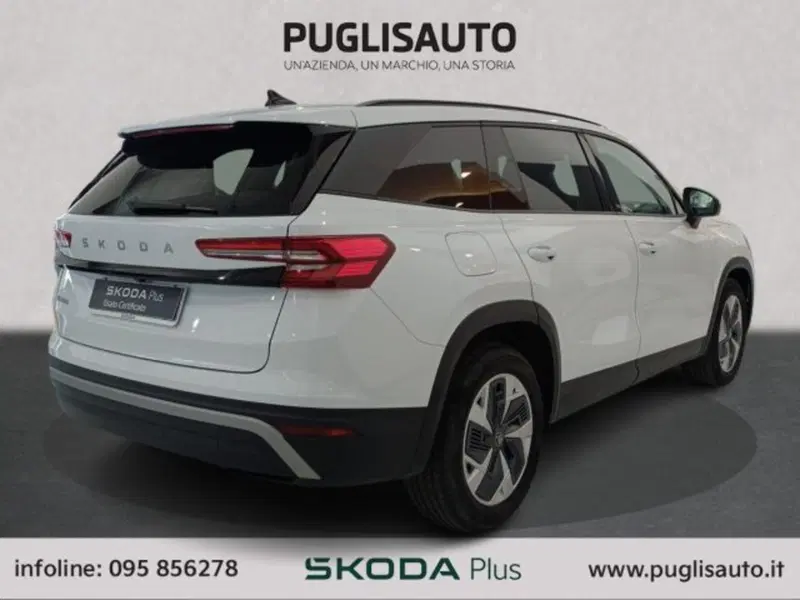 Skoda Kodiaq usata a Catania (4)