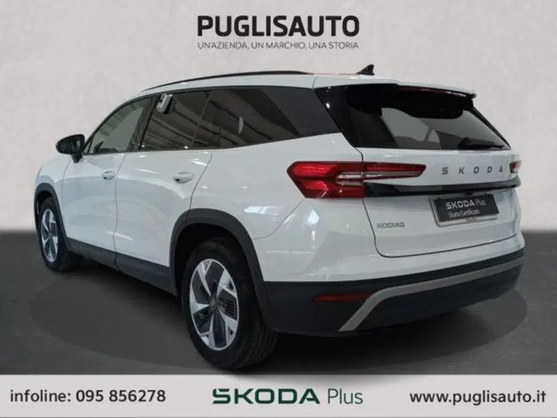 Skoda Kodiaq usata a Catania (6)