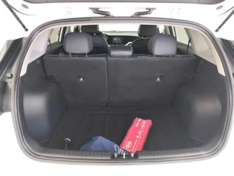 Kia Niro usata a Como (14)