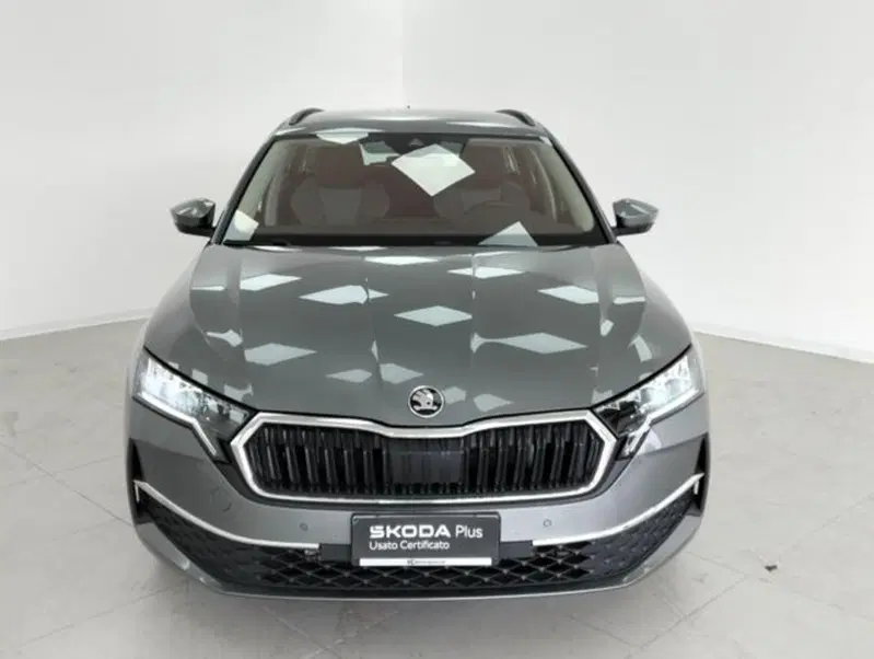 Skoda Octavia Station Wagon usata a Como (6)