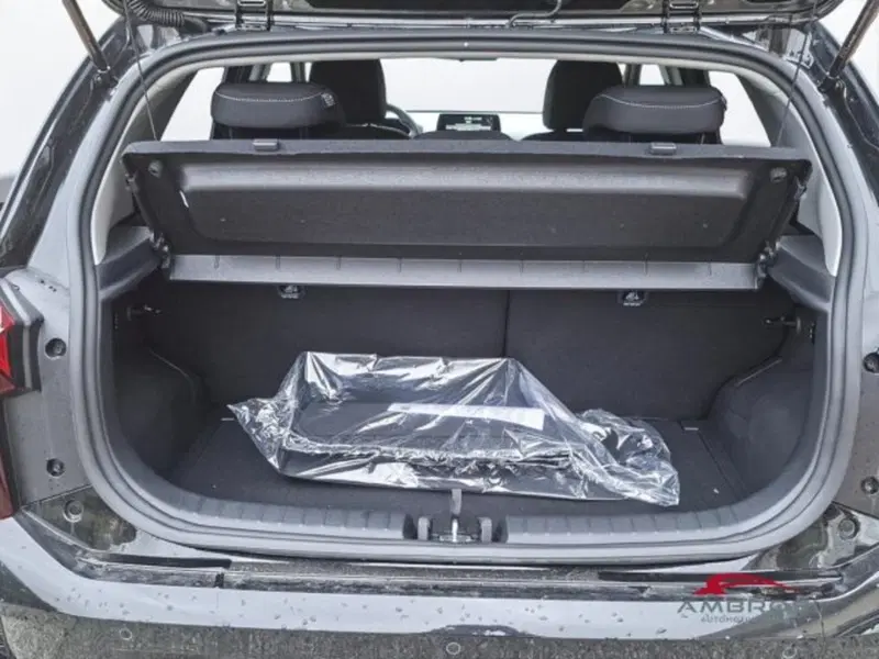 Kia Picanto nuova a Perugia (9)
