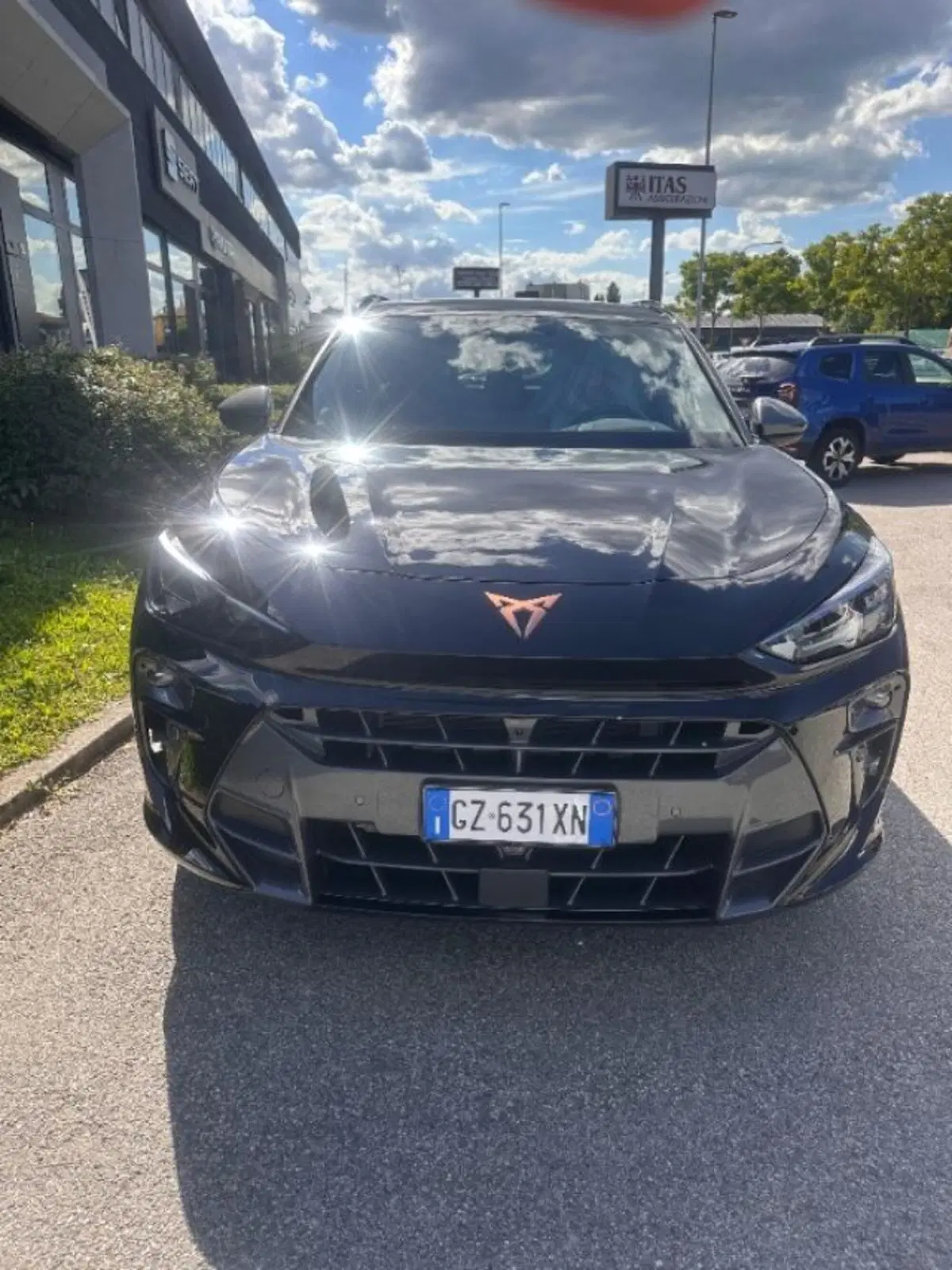 Cupra Terramar usata a Bologna (2)