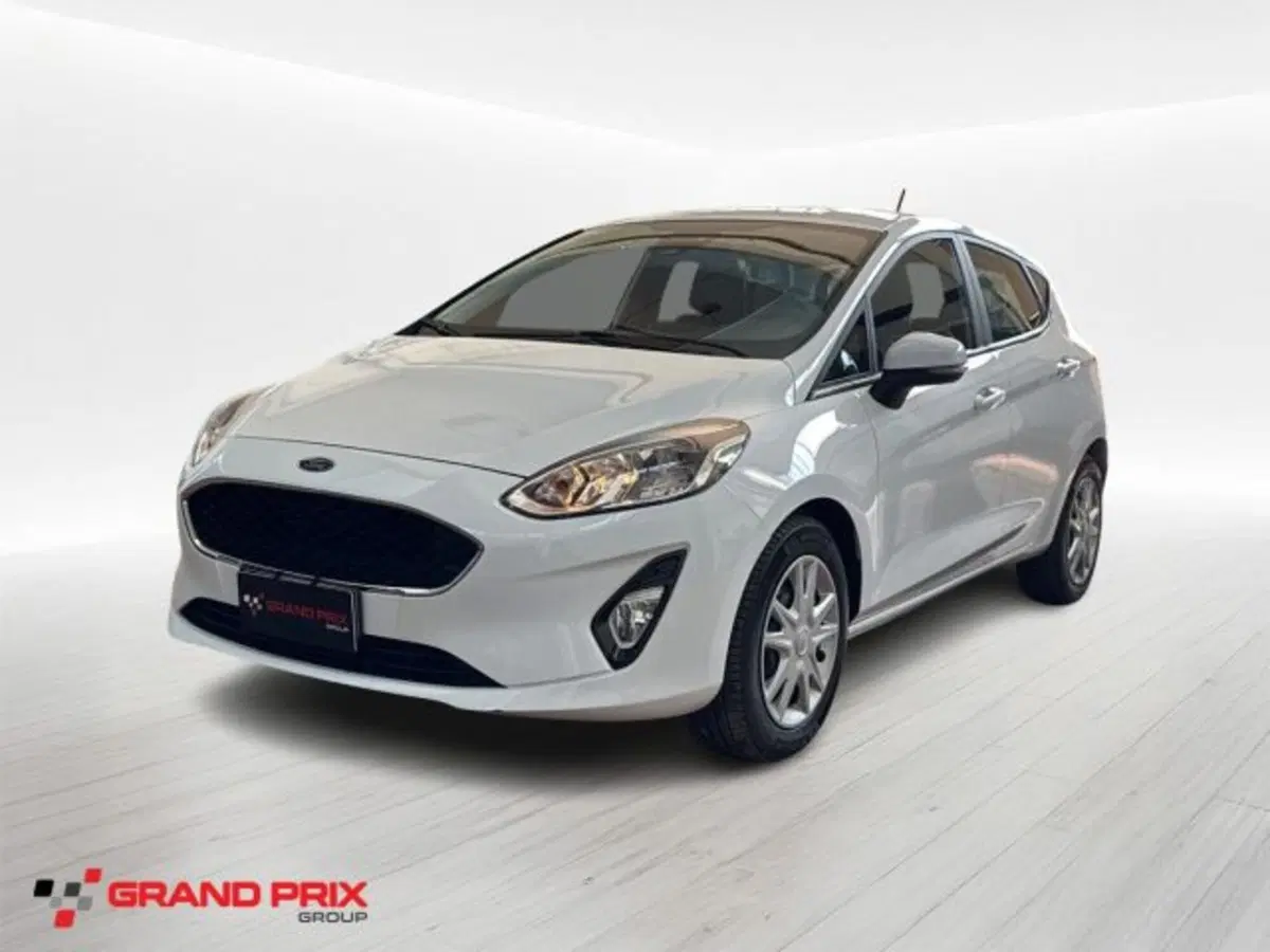 Ford Fiesta usata a Bologna