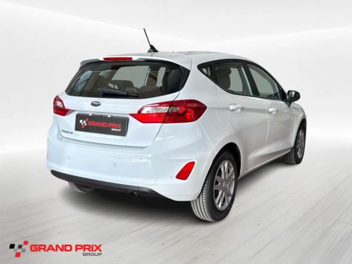 Ford Fiesta usata a Bologna (2)