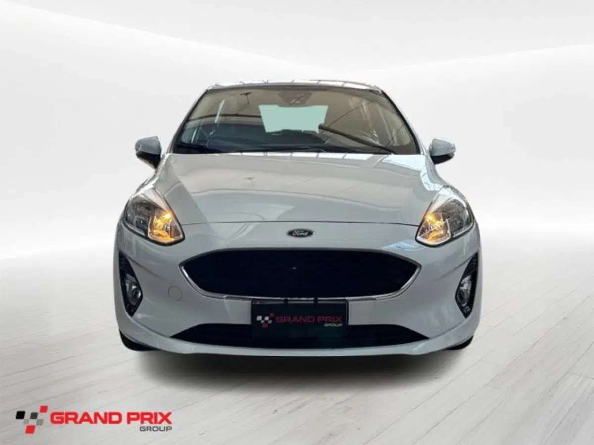 Ford Fiesta usata a Bologna (3)