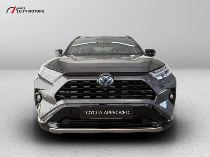 Toyota Rav4 usata a Monza e Brianza (3)
