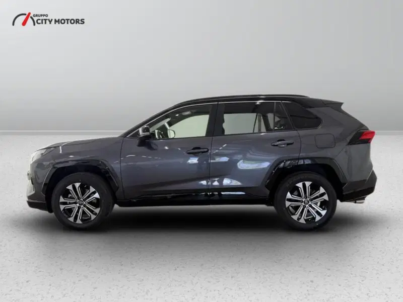 Toyota Rav4 usata a Monza e Brianza (4)
