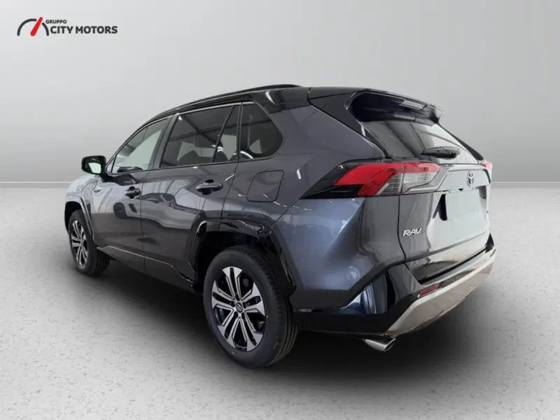 Toyota Rav4 usata a Monza e Brianza (5)