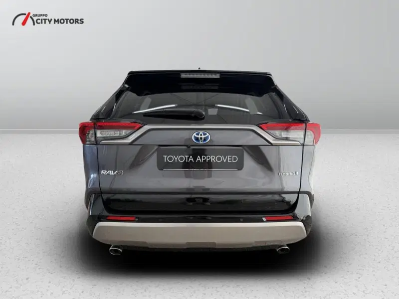 Toyota Rav4 usata a Monza e Brianza (6)