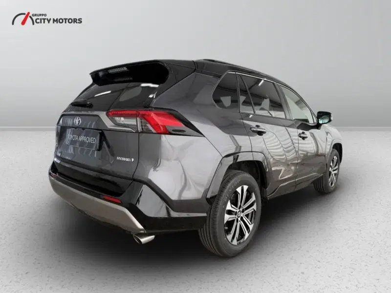 Toyota Rav4 usata a Monza e Brianza (7)