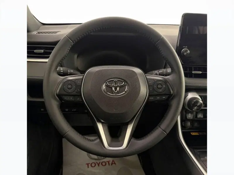Toyota Rav4 usata a Monza e Brianza (8)