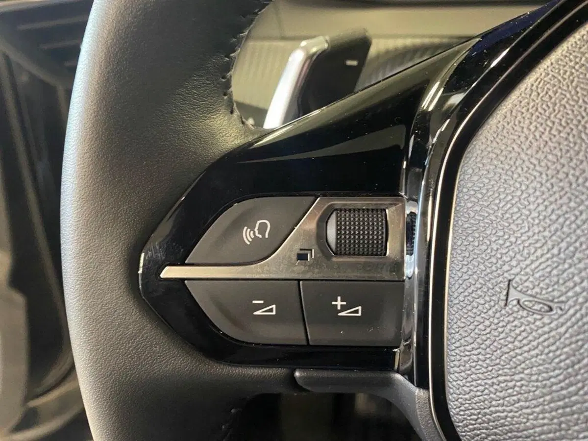Peugeot 2008 usata a Torino (13)