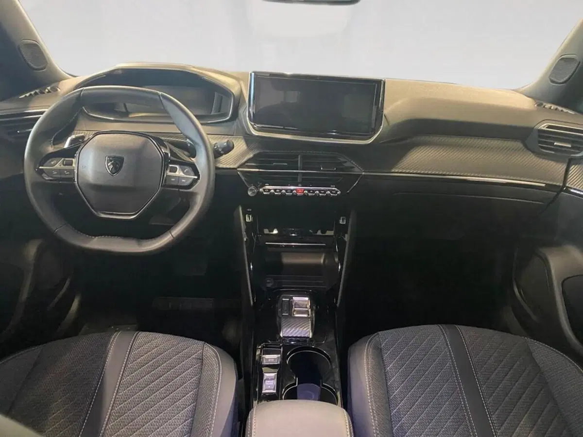 Peugeot 2008 usata a Torino (6)