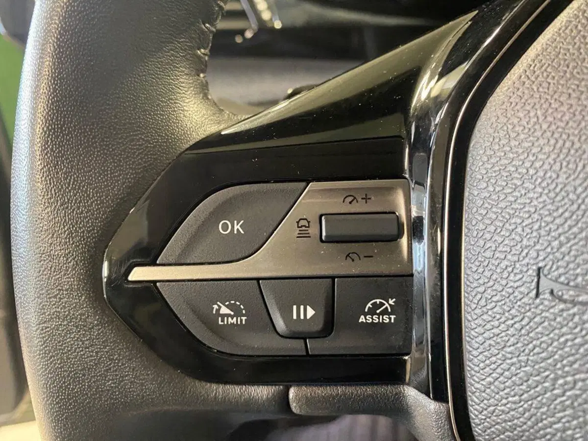 Peugeot 308 usata a Torino (12)
