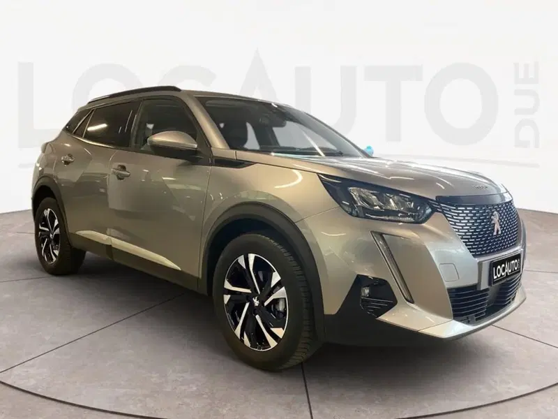 Peugeot 2008 usata a Torino (3)