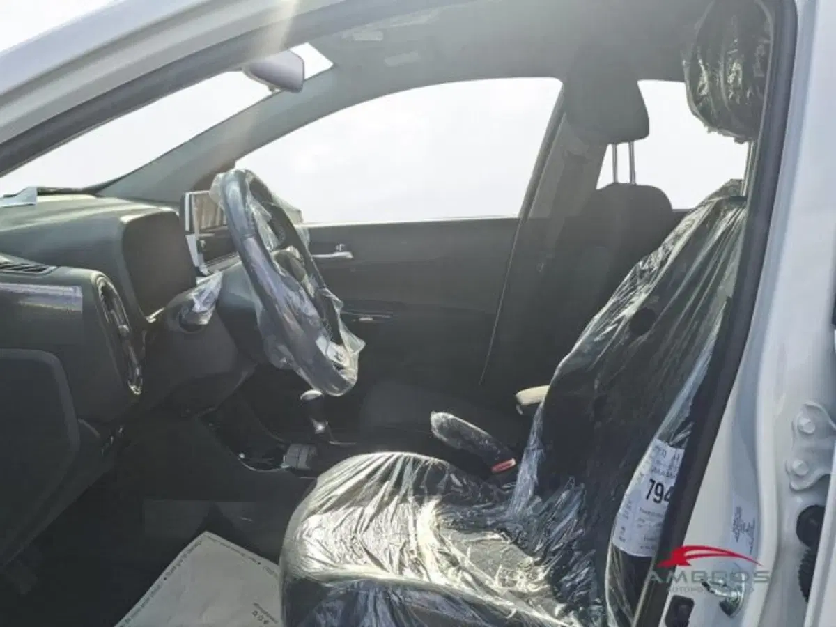 Kia Picanto nuova a Perugia (10)