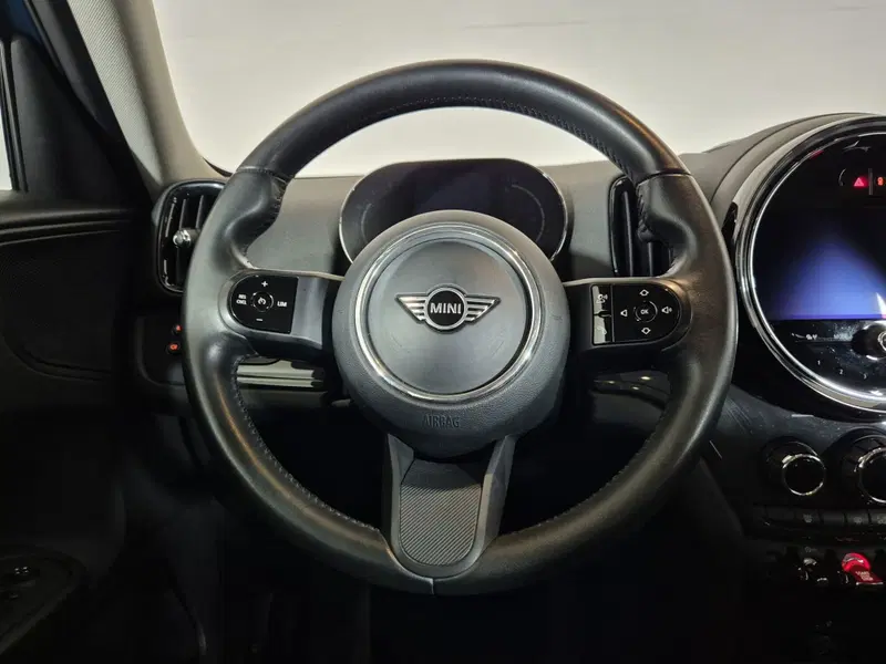 MINI Mini Countryman usata a Torino (18)